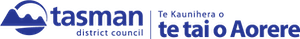 Logo_tdc